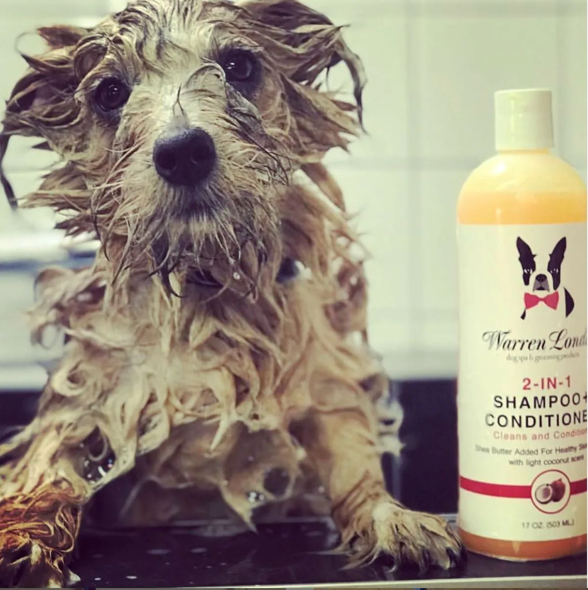 2-in-1 Dog Shampoo   Conditioner - Coconut Scented