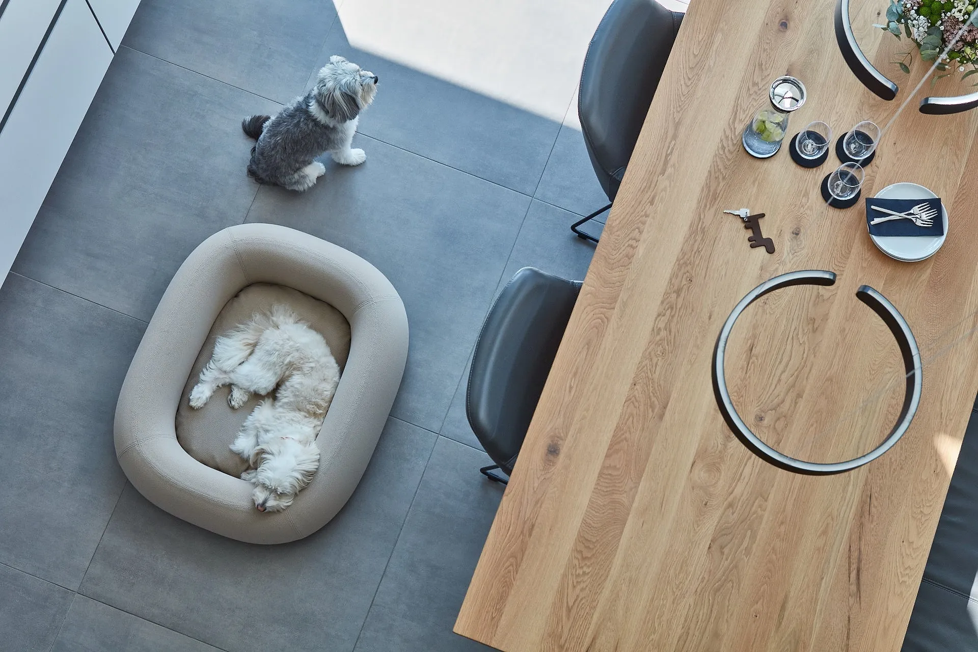 Barca Dog Bed, Taupe