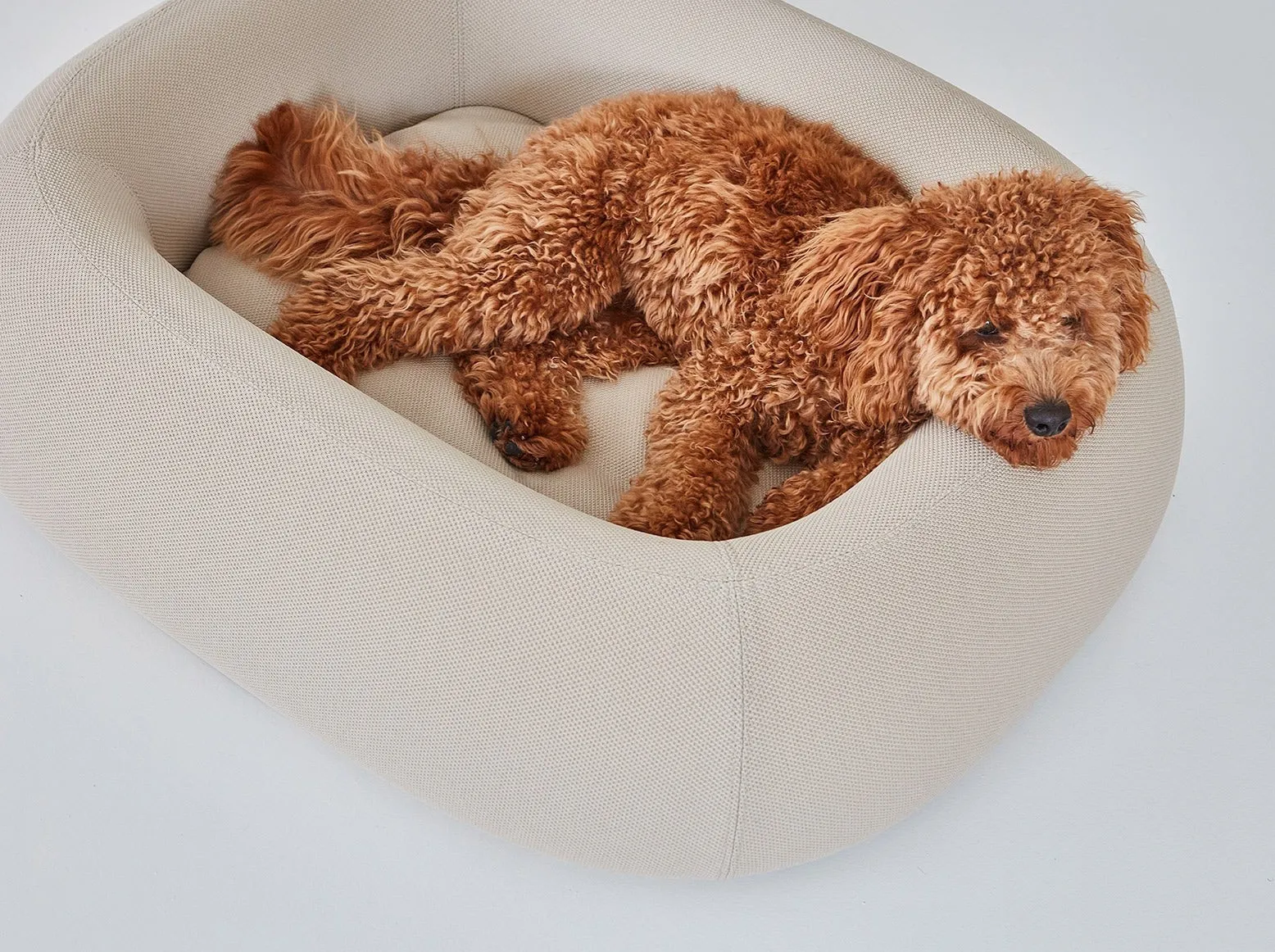 Barca Dog Bed, Taupe