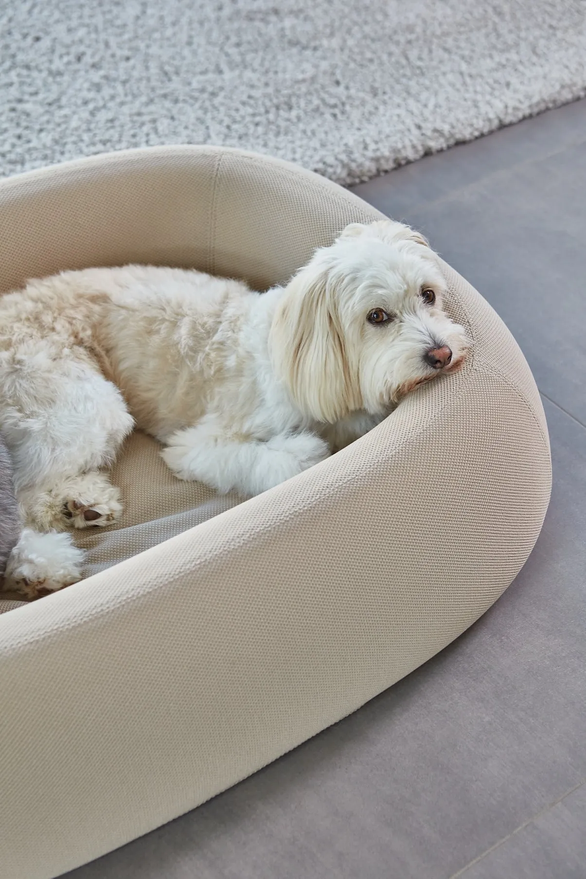 Barca Dog Bed, Taupe