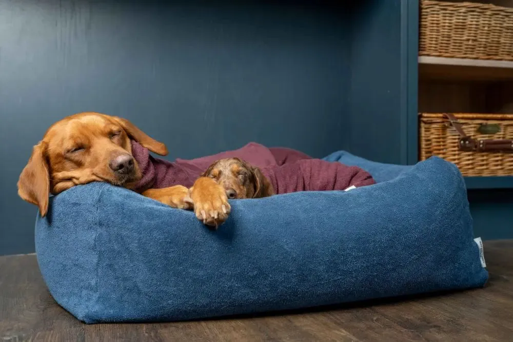 Burnham Bolster Dog Bed - Denim - Various Sizes