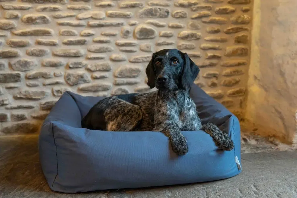 Burnham Bolster Dog Bed - Denim - Various Sizes