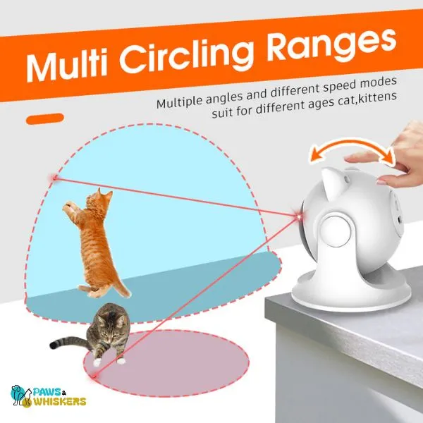 Cat Laser Toy | Paws & Whiskers