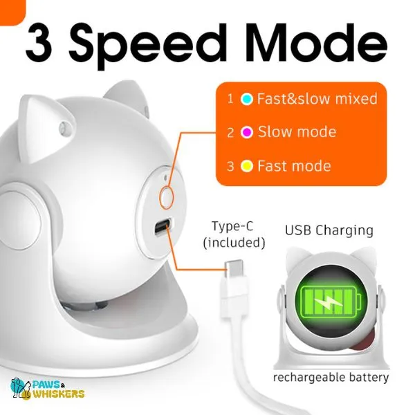Cat Laser Toy | Paws & Whiskers
