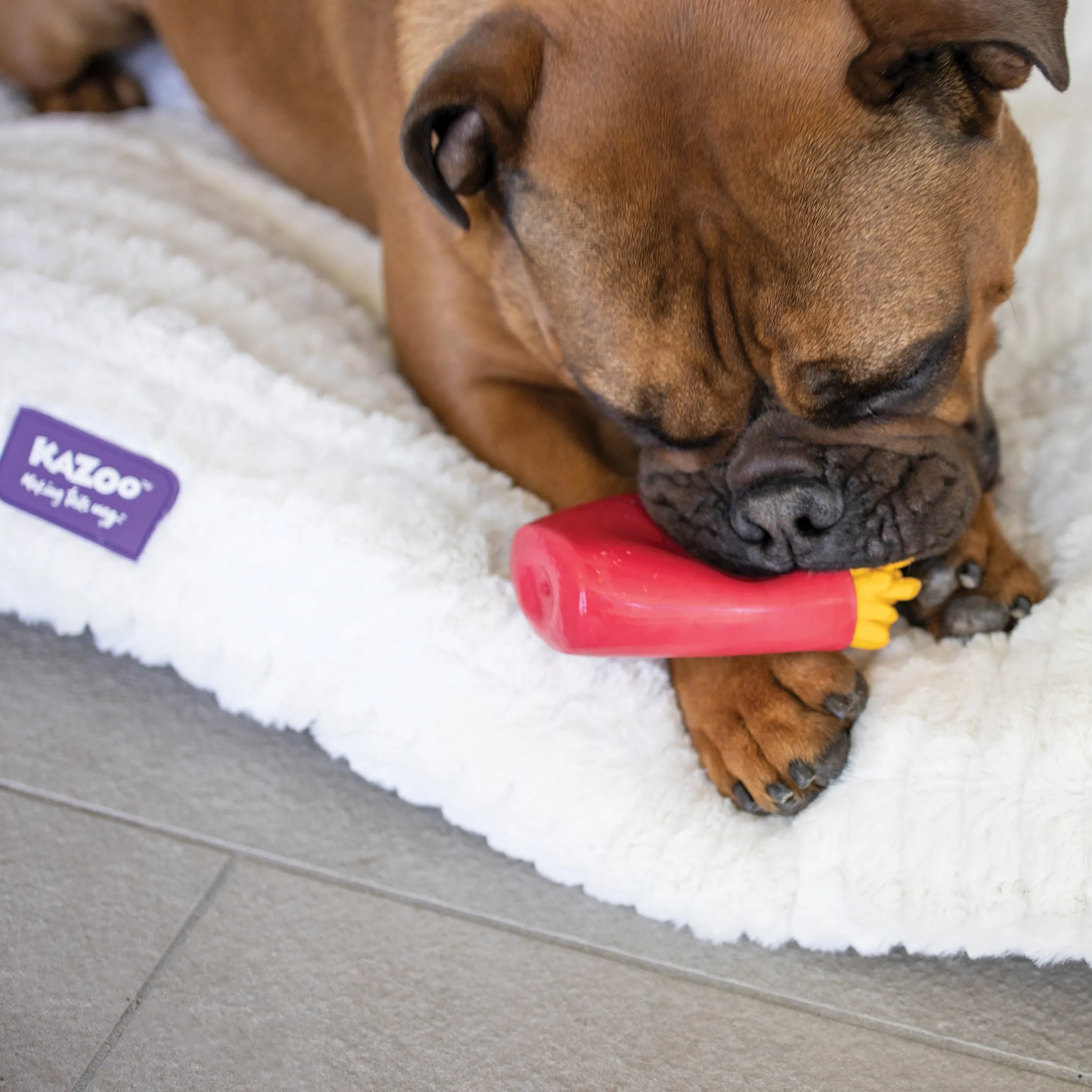 Chompin' Chips Squeaky Dog Toy