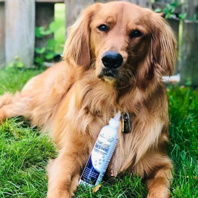 Dog Ear Cleaner