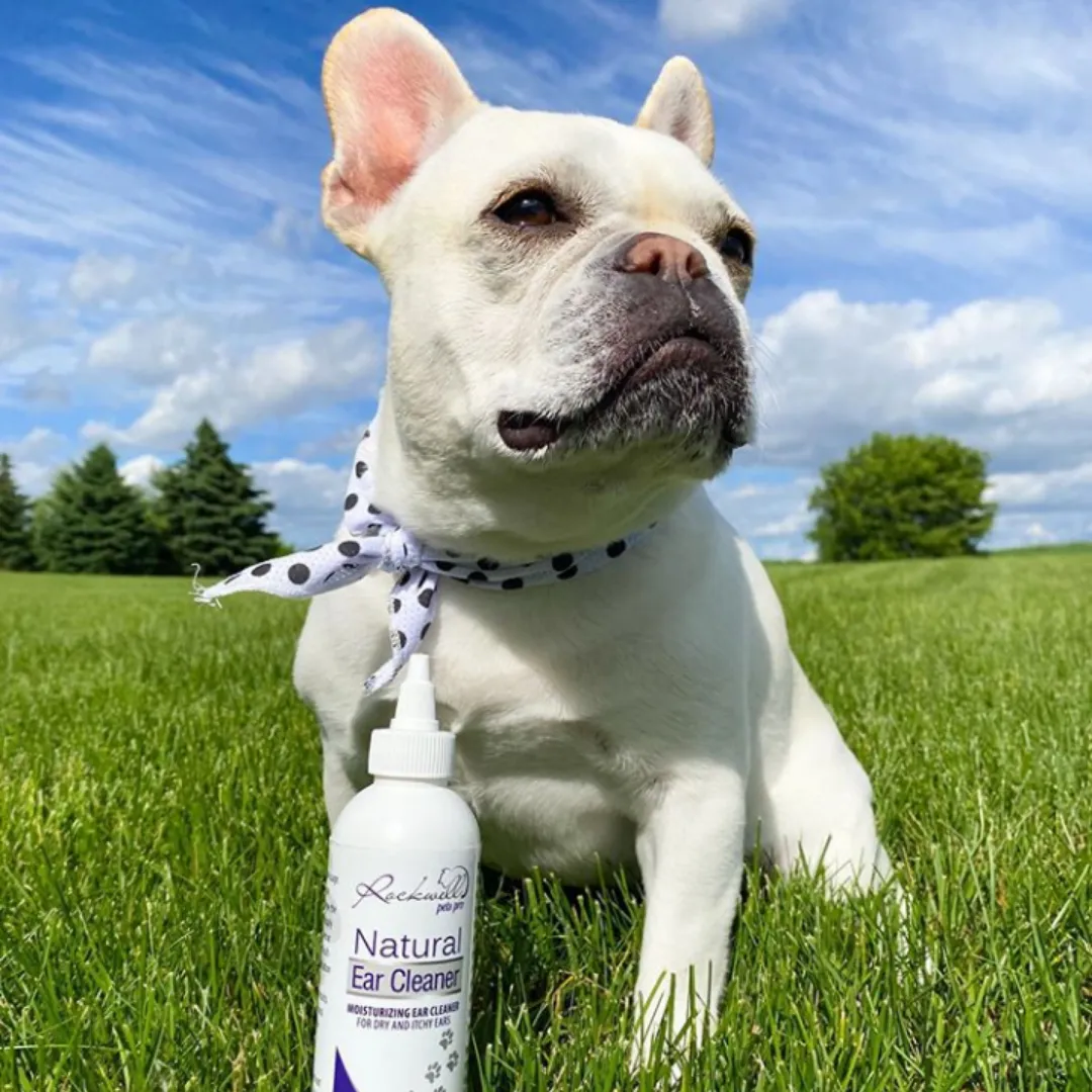Dog Ear Cleaner