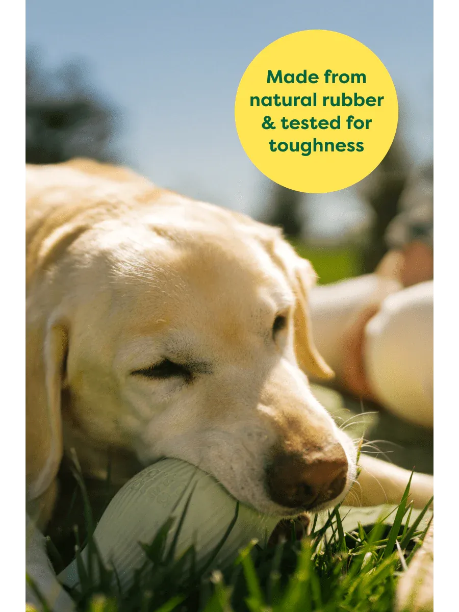 Earth Rated Rubber Treat Toy
