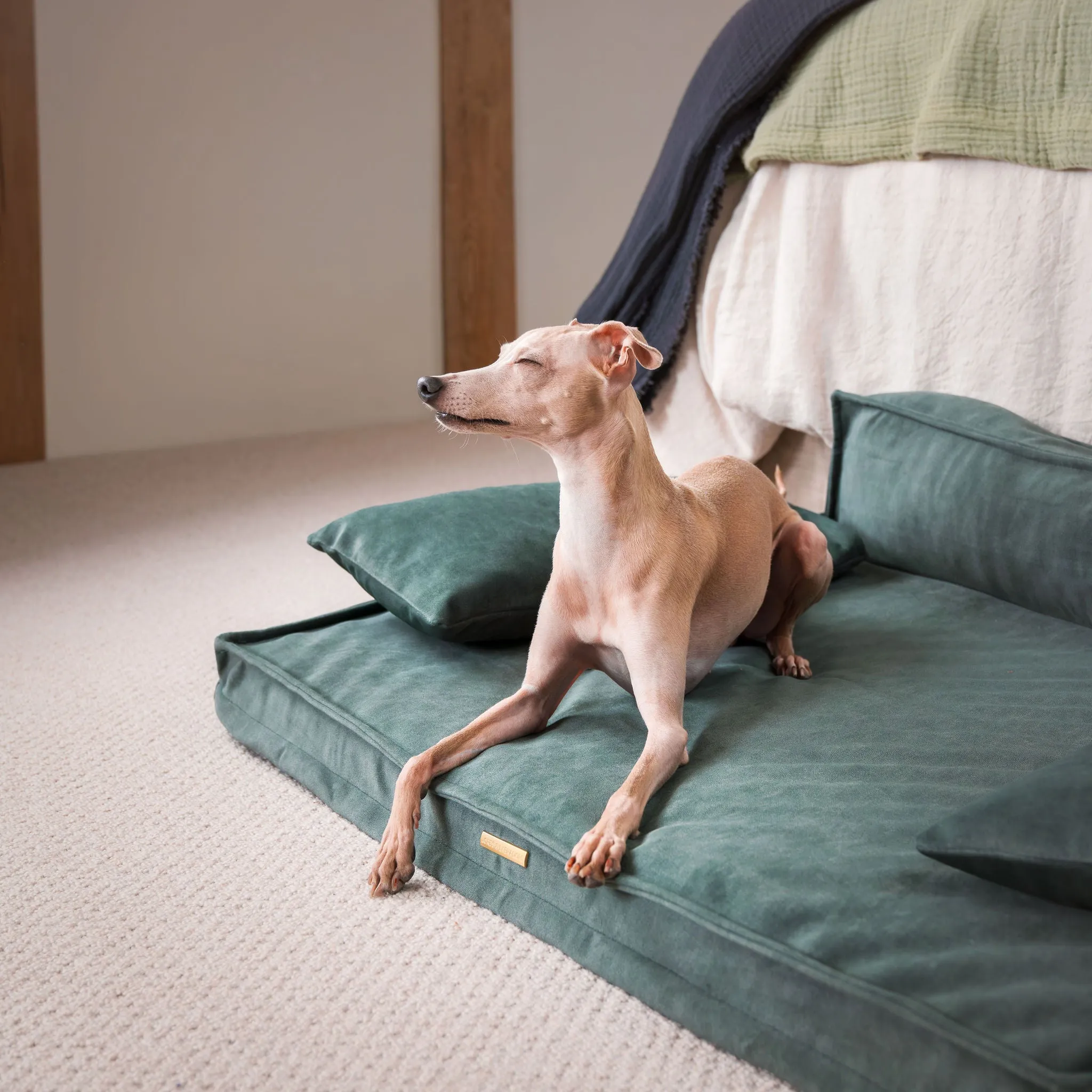 Execu-Sofa in Olive by Lords & Labradors