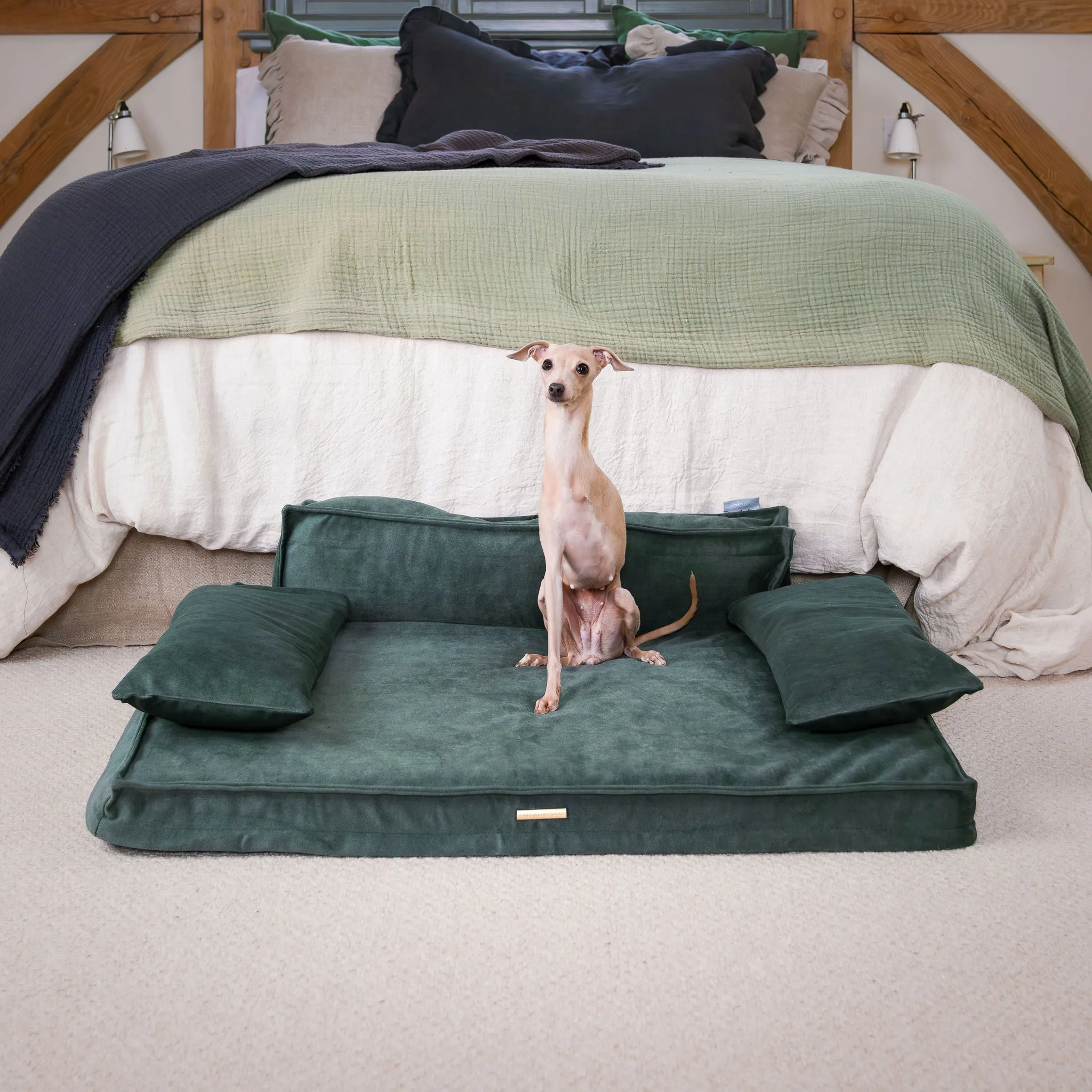 Execu-Sofa in Olive by Lords & Labradors