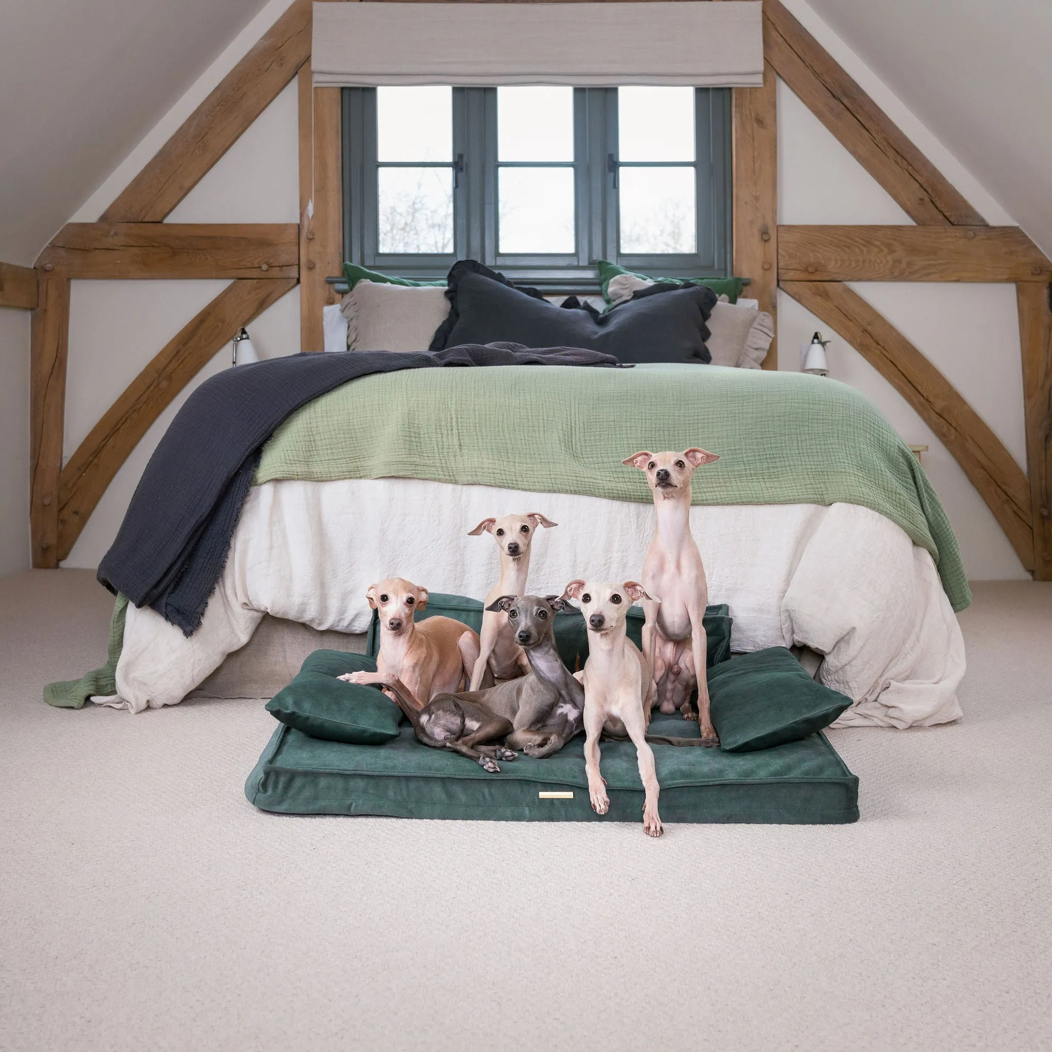 Execu-Sofa in Olive by Lords & Labradors
