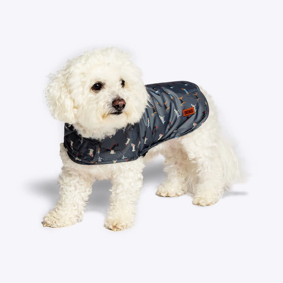 FatFace | Dog Coat | Marching Dogs Raincoat