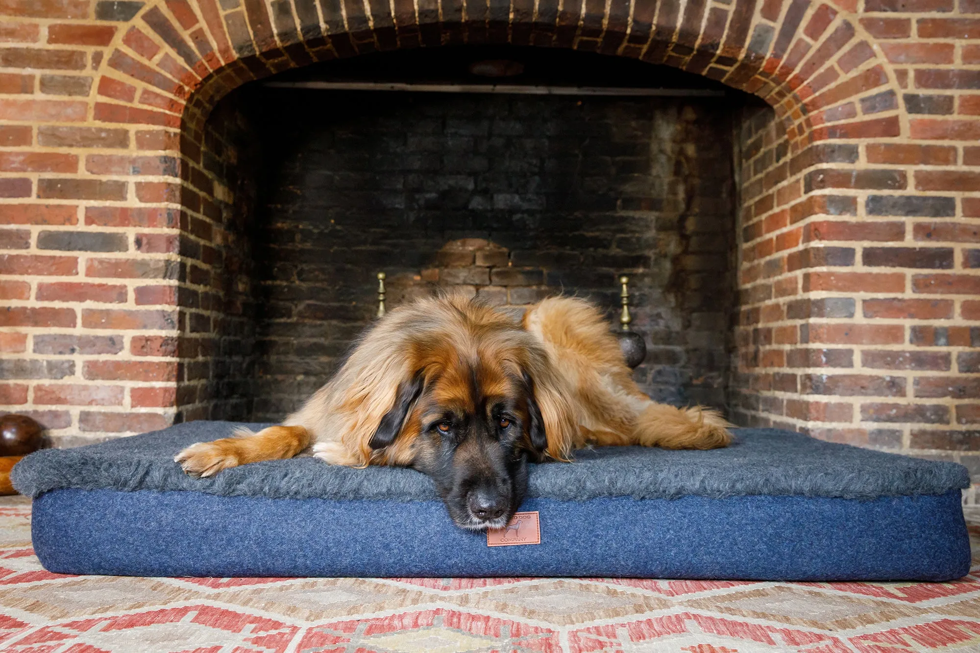 Fire Orange Giant Dog Mat