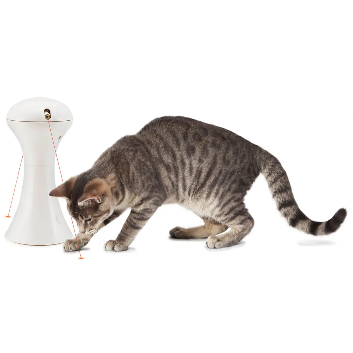 FroliCat Multi-Laser Automatic Laser Light Cat Toy