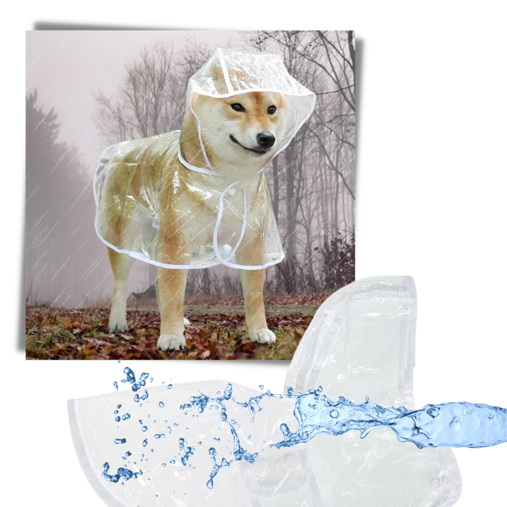 Hooded Raincoat for Dogs