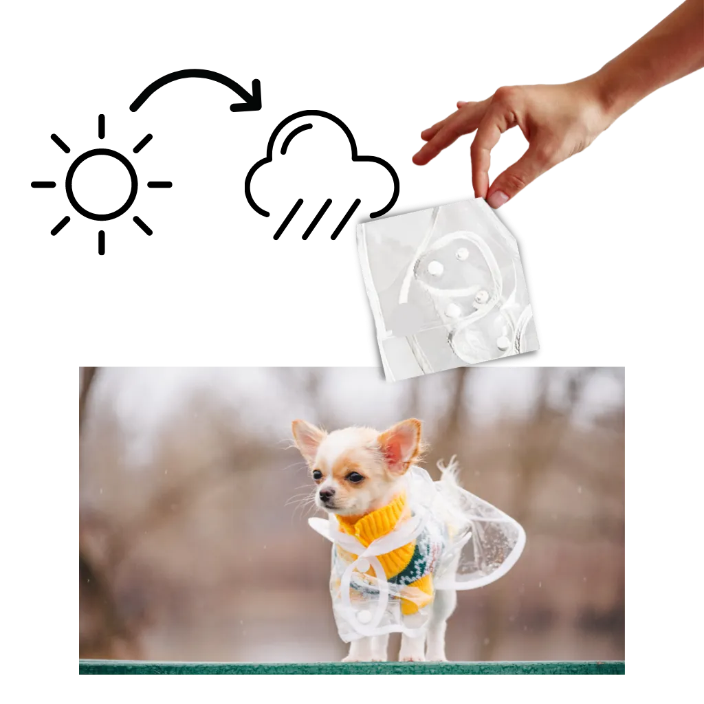 Hooded Raincoat for Dogs