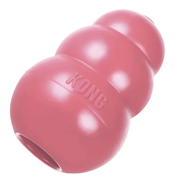 Kong Puppy Chew Dog Toy