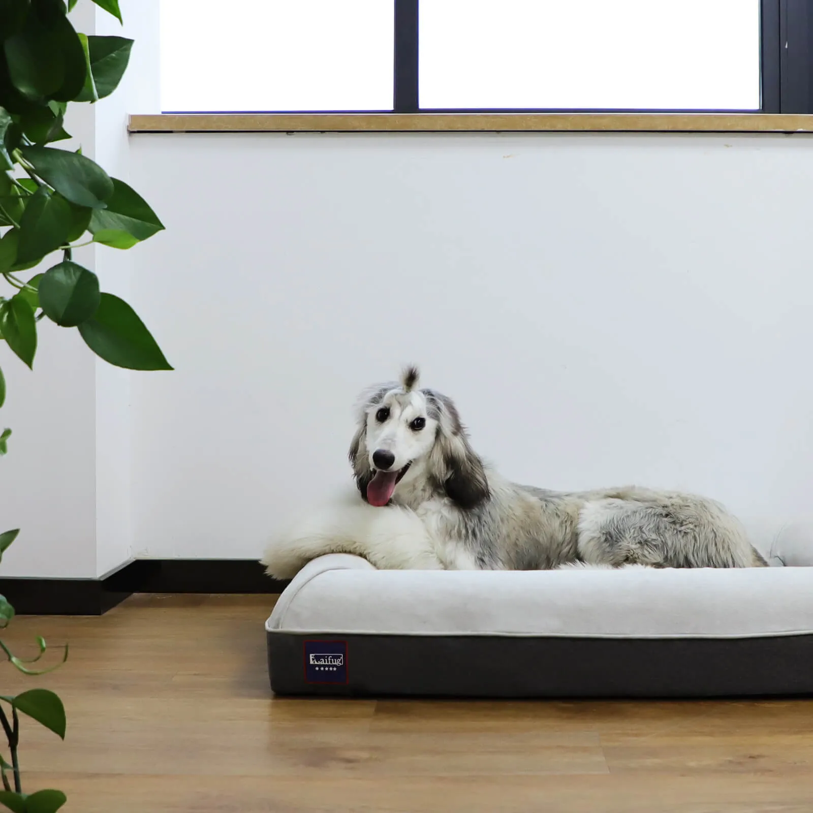 Laifug Dog Mattress