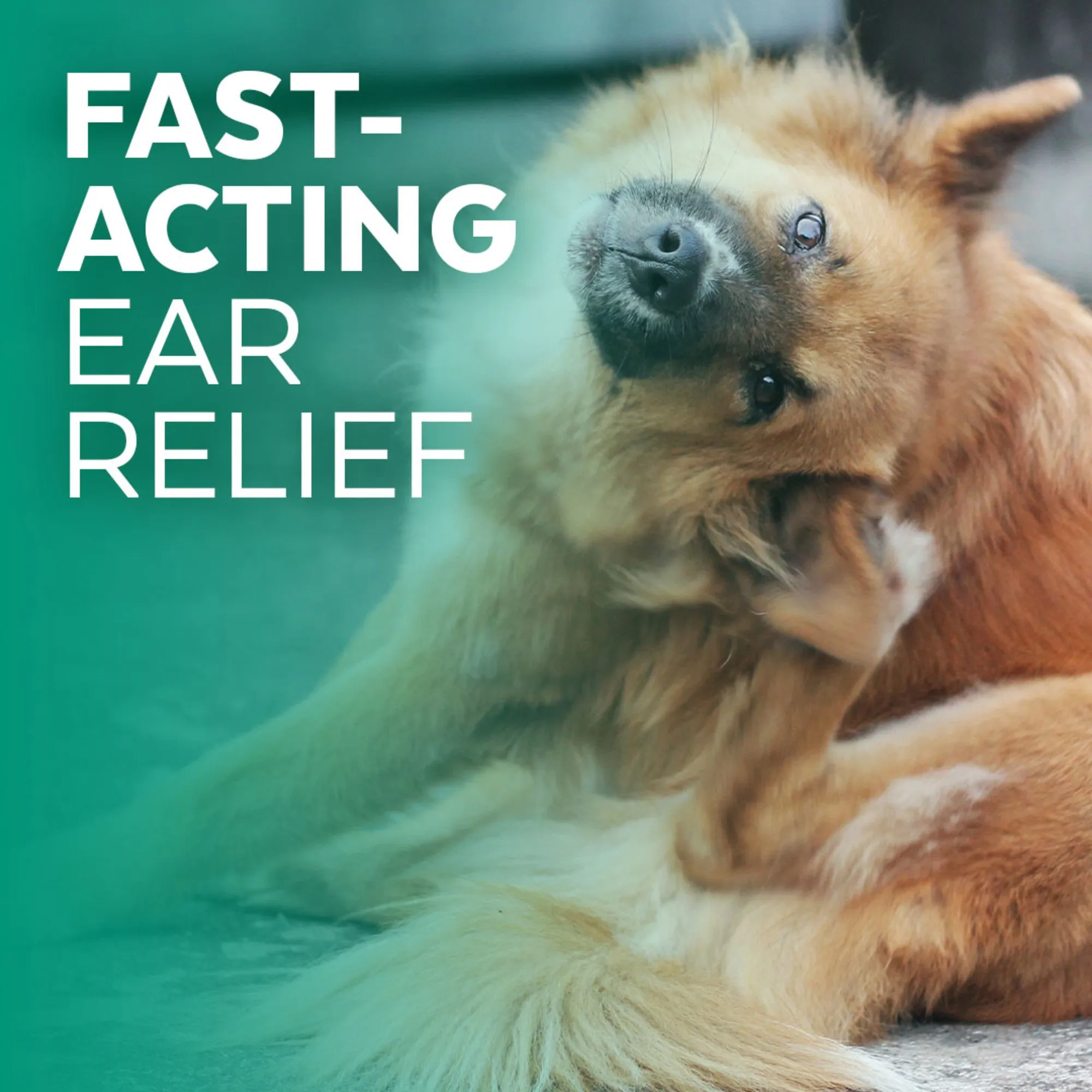 Naturél Promise Clinic Aid Ear Cleaner for Dogs & Cats