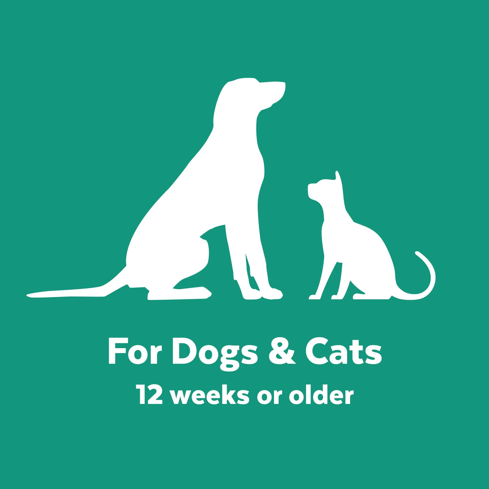 Naturél Promise Clinic Aid Ear Cleaner for Dogs & Cats
