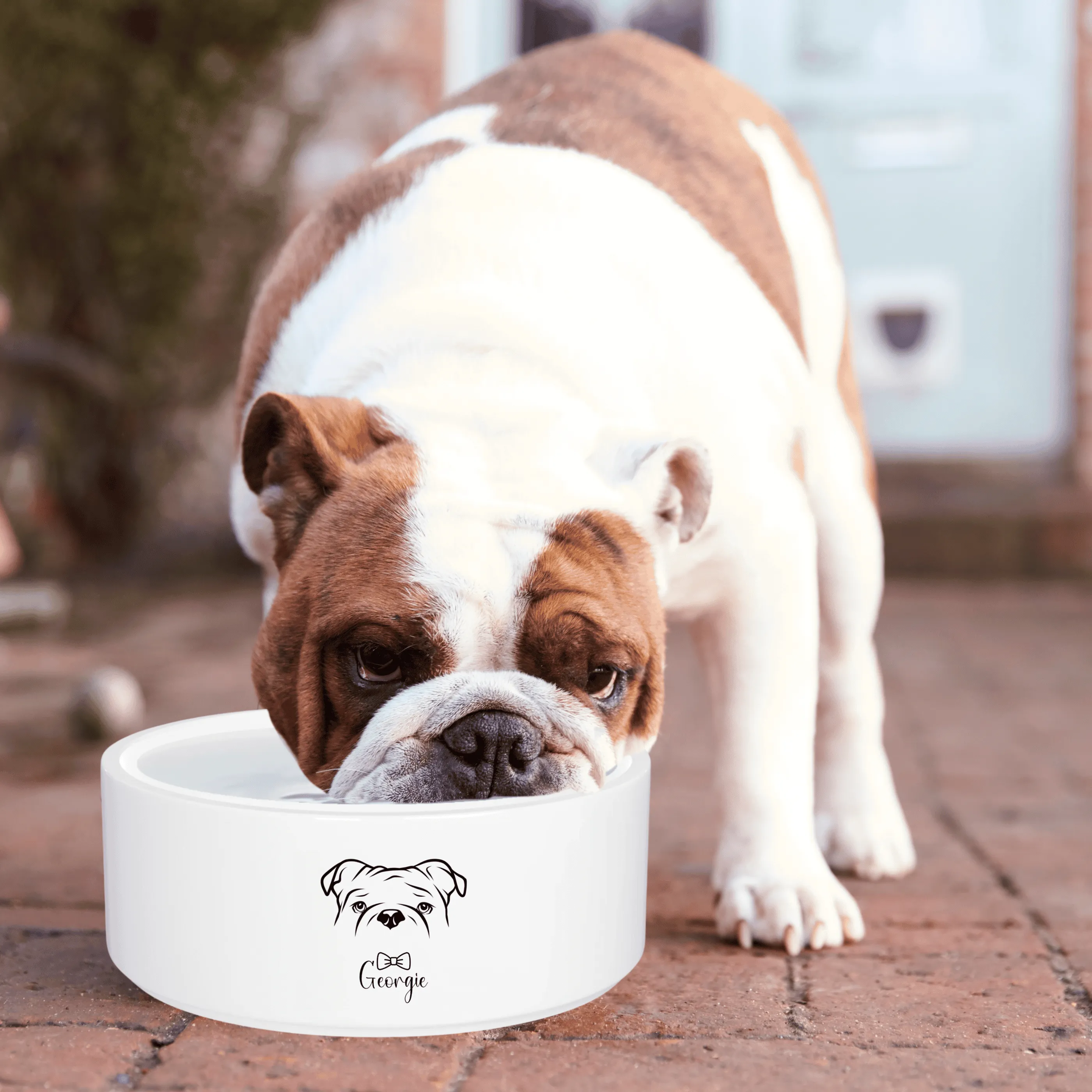 Personalized Ceramic Pet Bowl for Pets: Add Your Pet's Design   Name