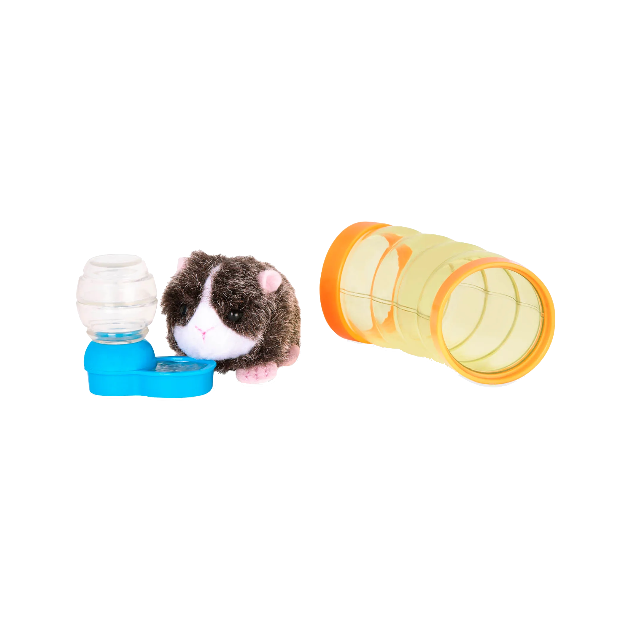 Pet Guinea Pig Set