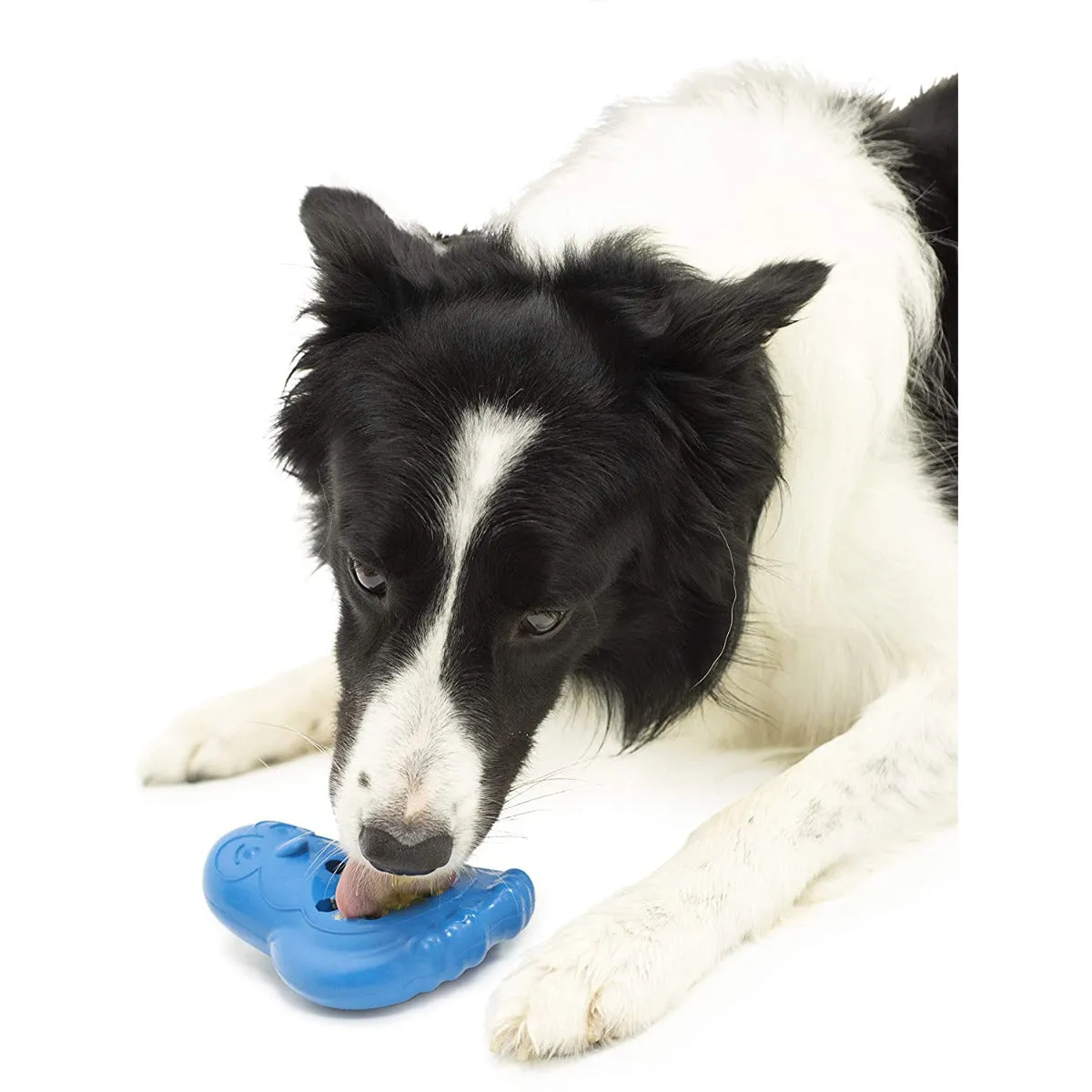 PetSafe Busy Buddy Chilly Penguin
