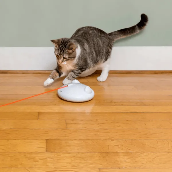 PetSafe Zip Automatic Laser Light Cat Toy