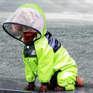 Puppy Raincoat