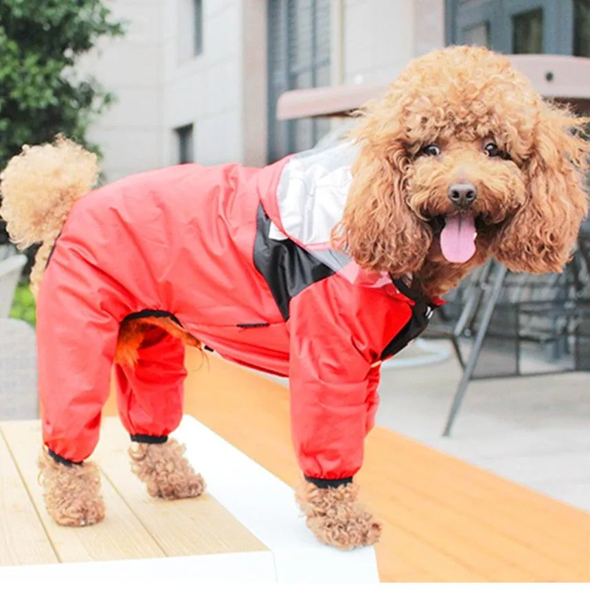 Puppy Raincoat