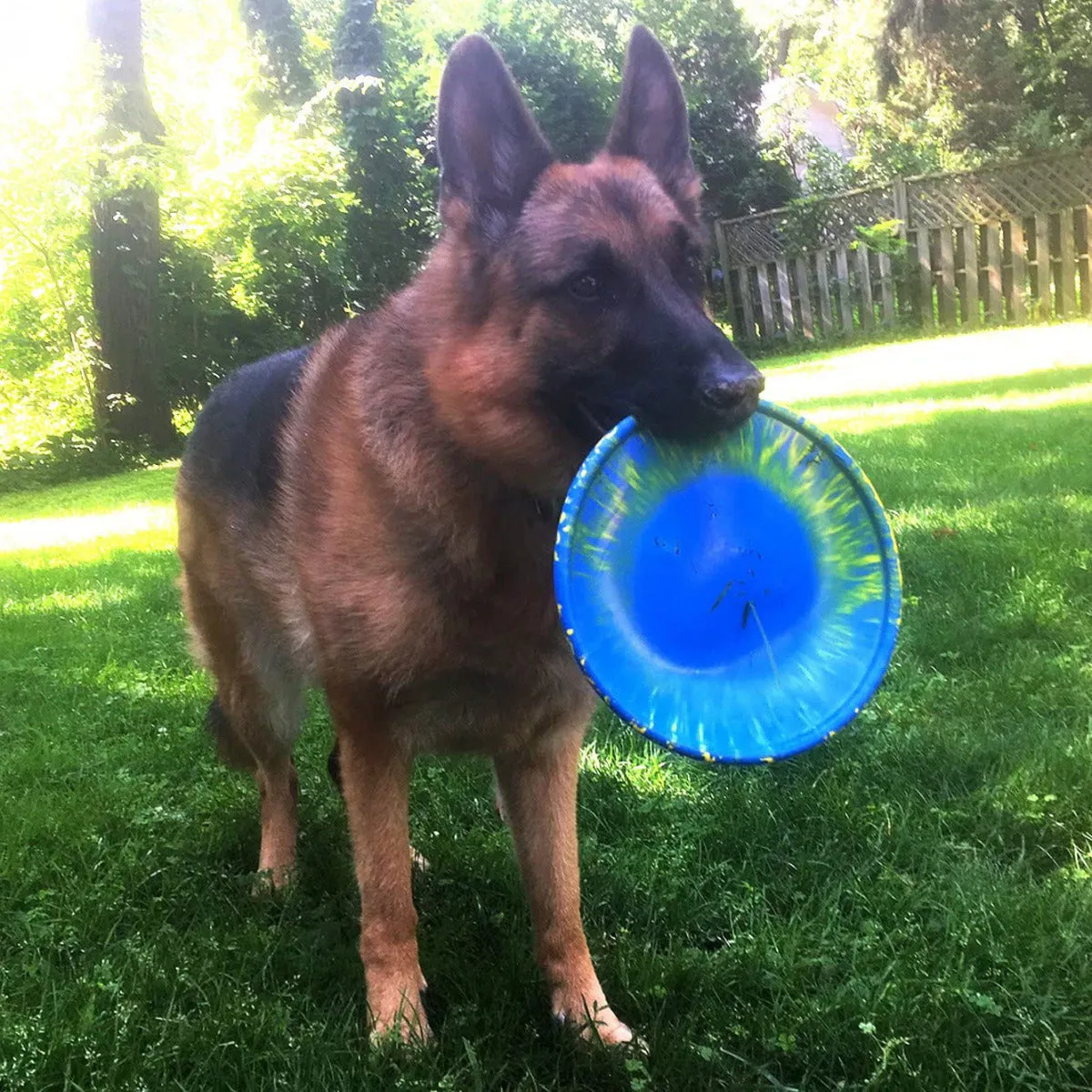 Ruff Dawg K9 Flyer Dog Toy