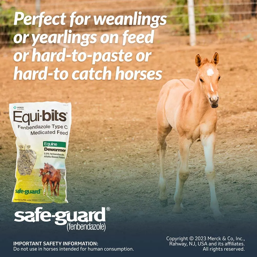 Safe-Guard Equi-Bits, 1.25 lb