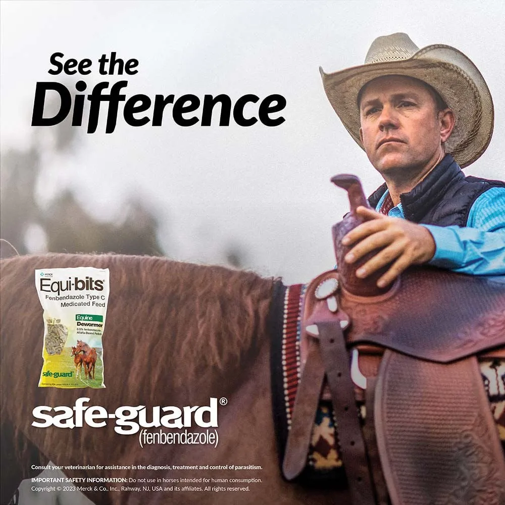 Safe-Guard Equi-Bits, 1.25 lb