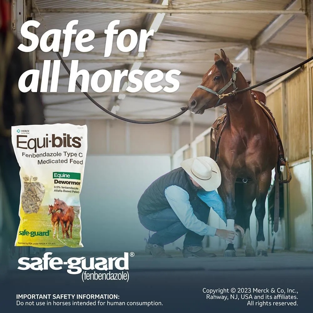 Safe-Guard Equi-Bits, 1.25 lb