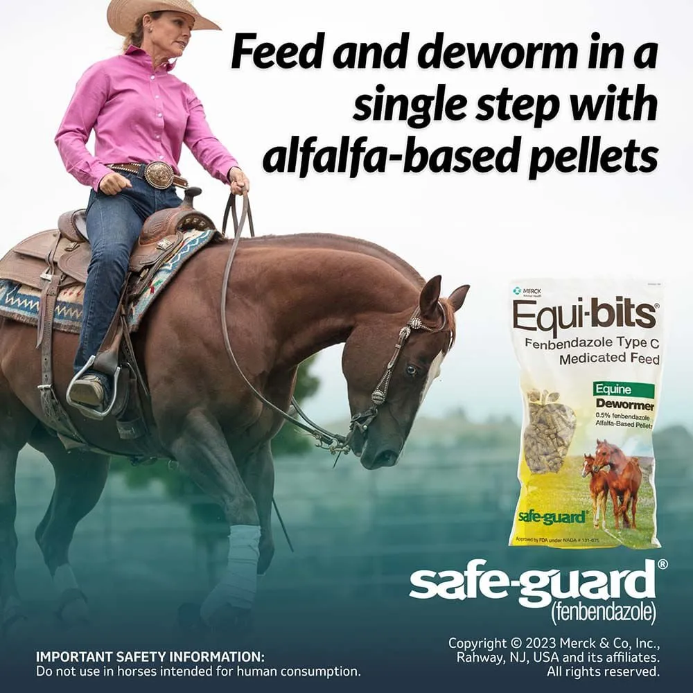 Safe-Guard Equi-Bits, 1.25 lb