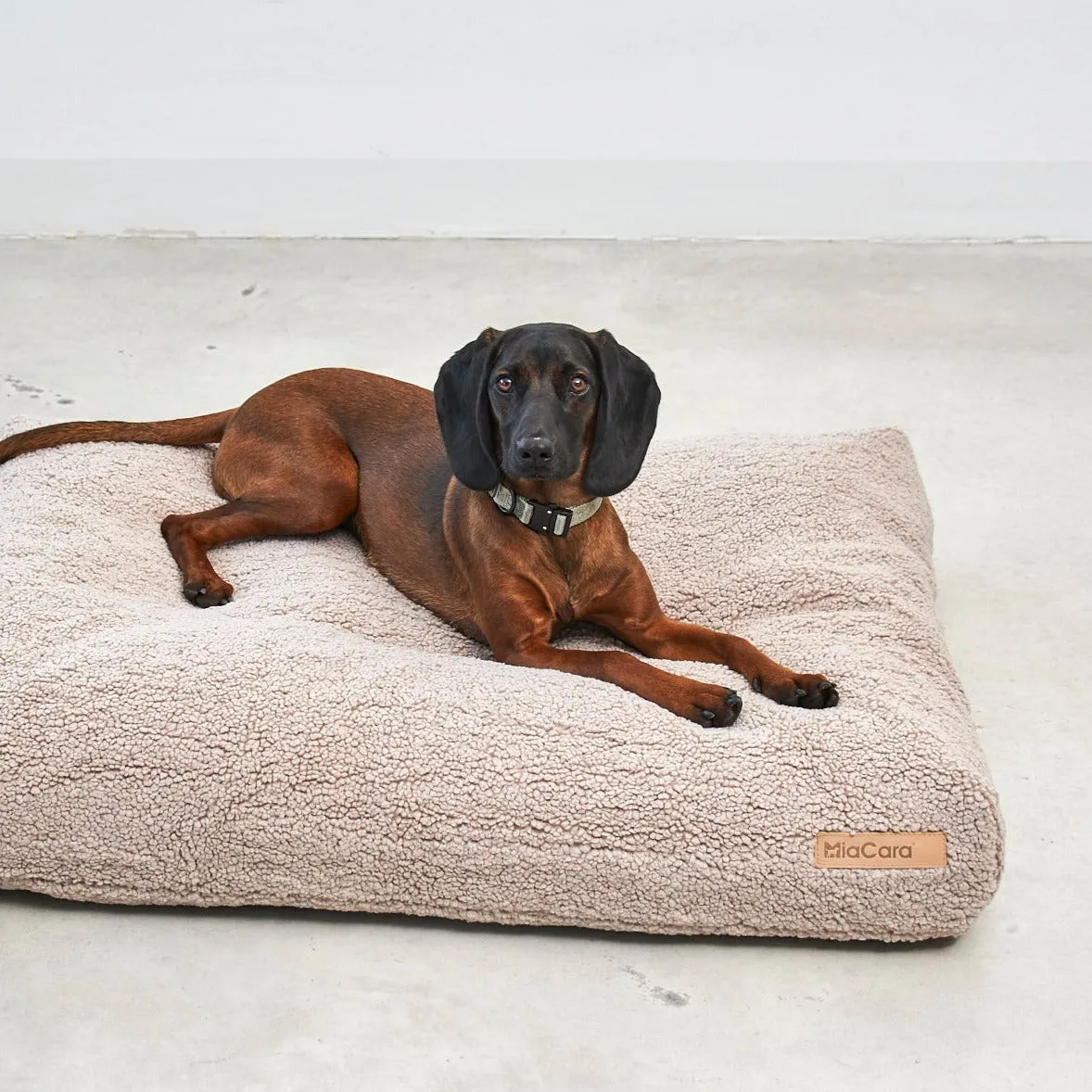 Senso Dog Cushion