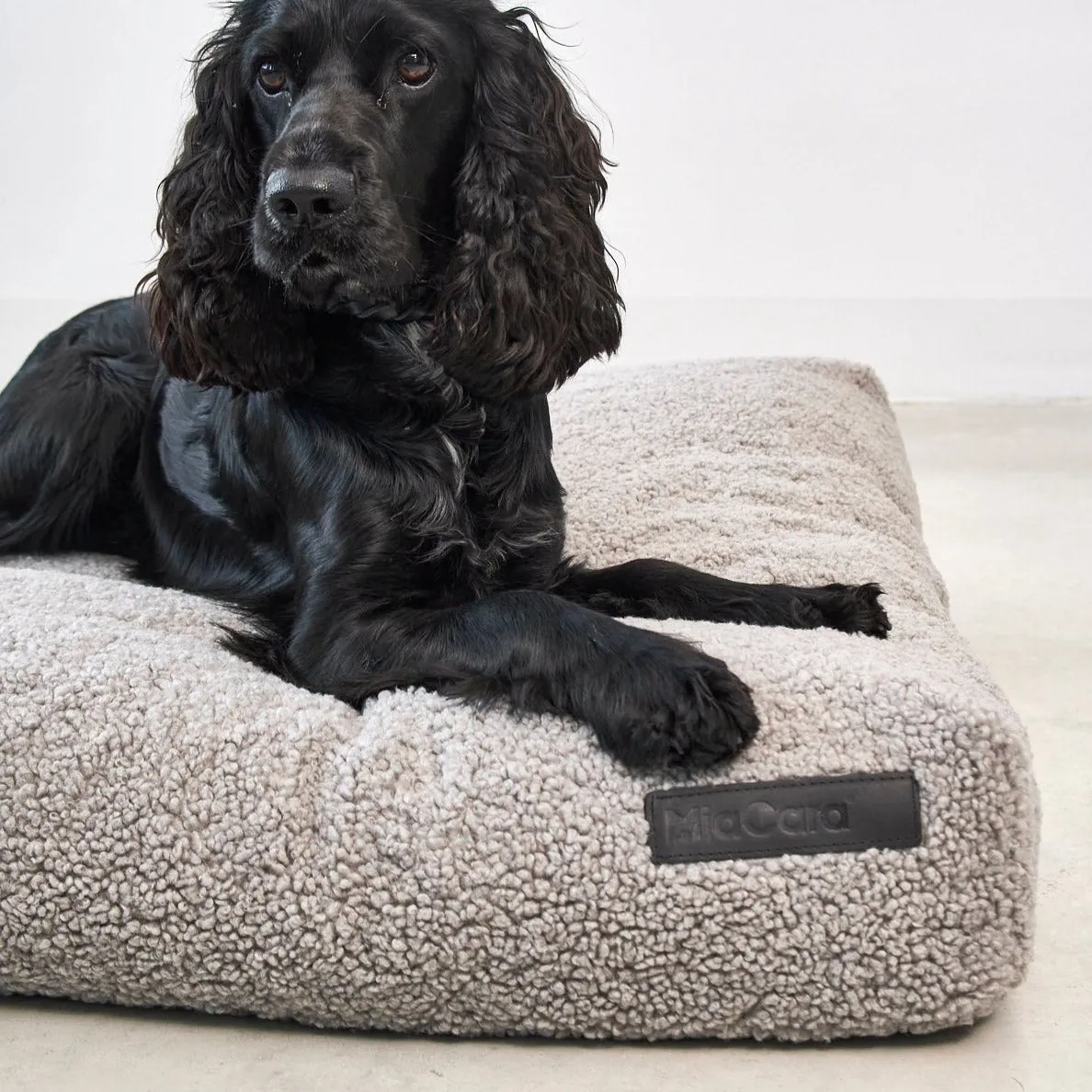 Senso Dog Cushion