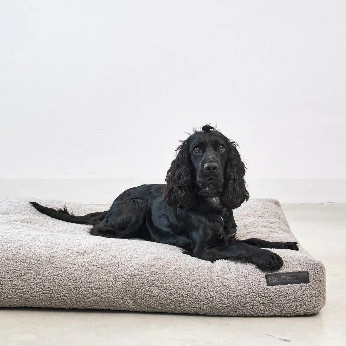 Senso Dog Cushion