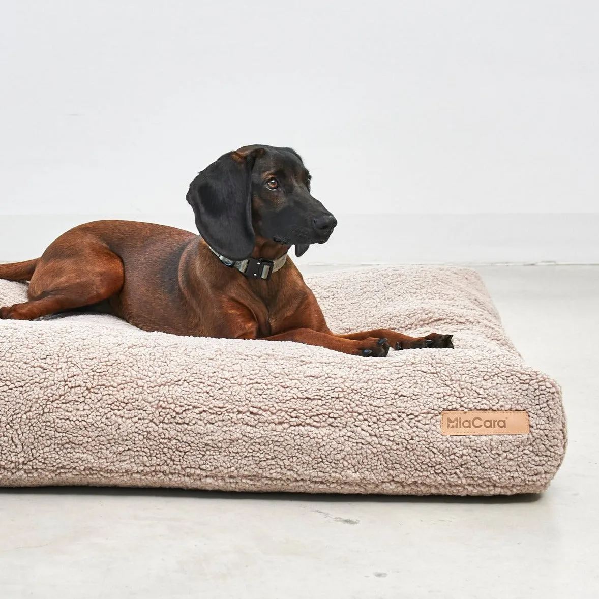 Senso Dog Cushion