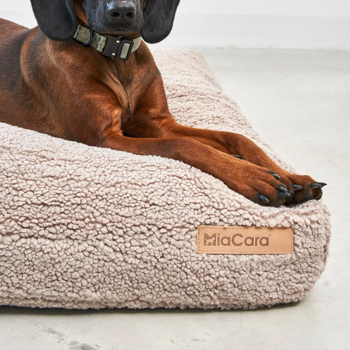 Senso Dog Cushion