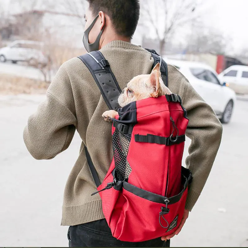 Small and medium-sized dog backpack