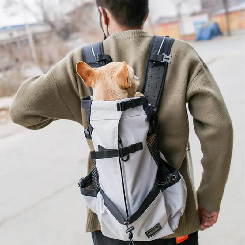 Small and medium-sized dog backpack