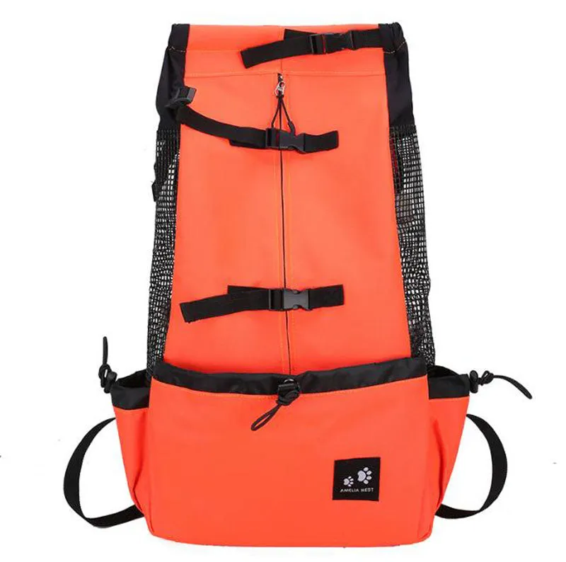 Small and medium-sized dog backpack