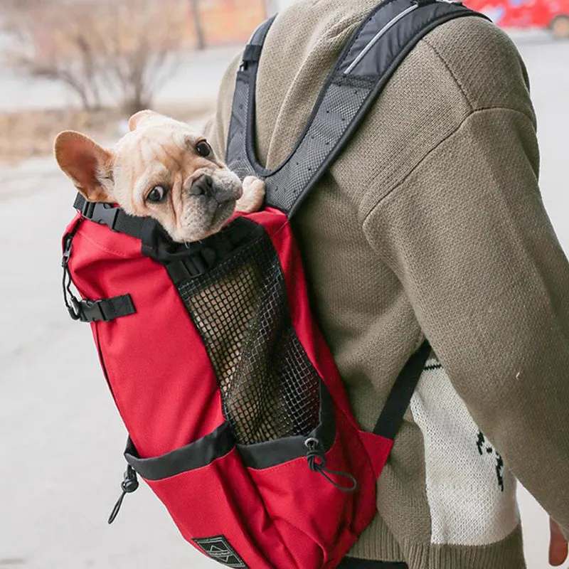 Small and medium-sized dog backpack