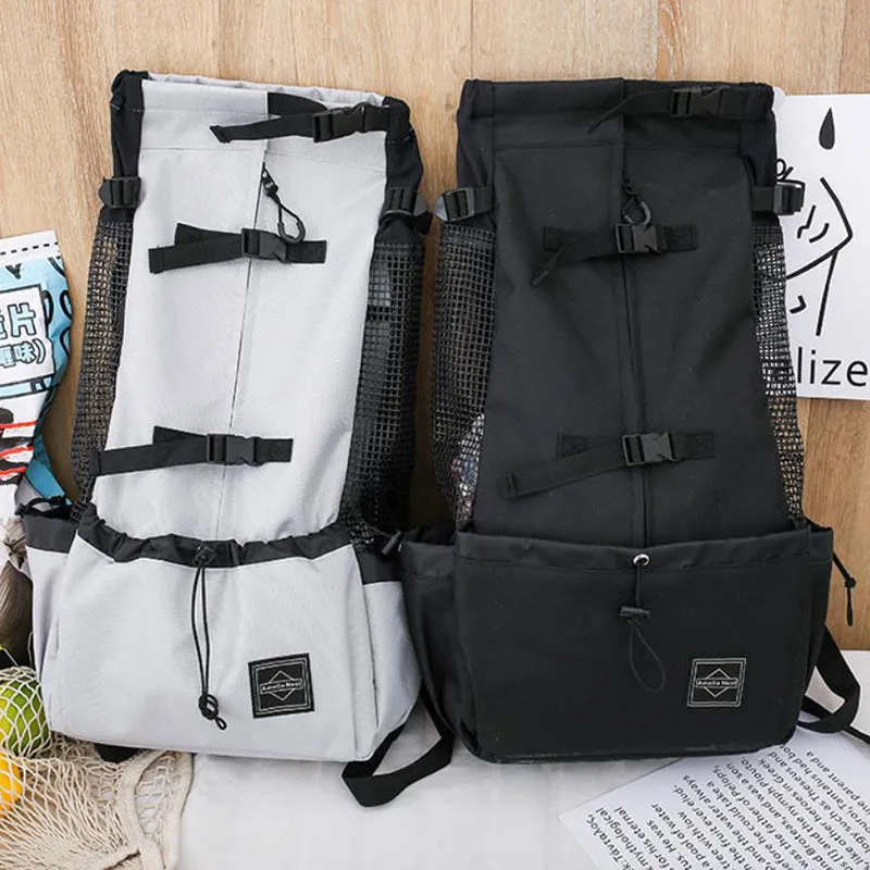 Small and medium-sized dog backpack