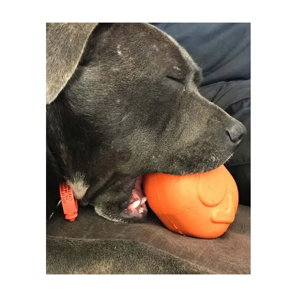 Sodapup Roasted Turkey Rubber Treat Dispenser - Large Orange