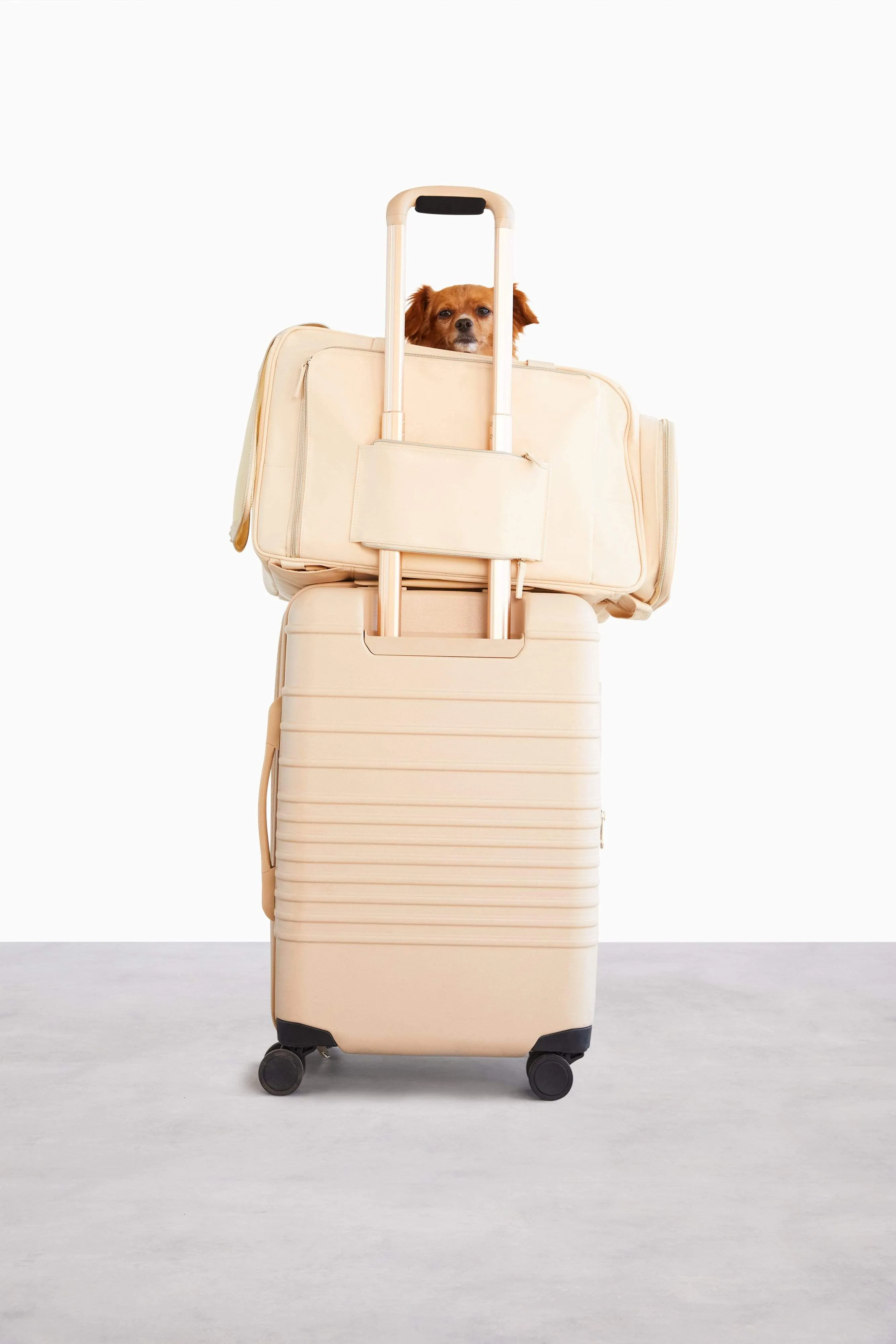 The Regulation Pet Carry-on in Beige