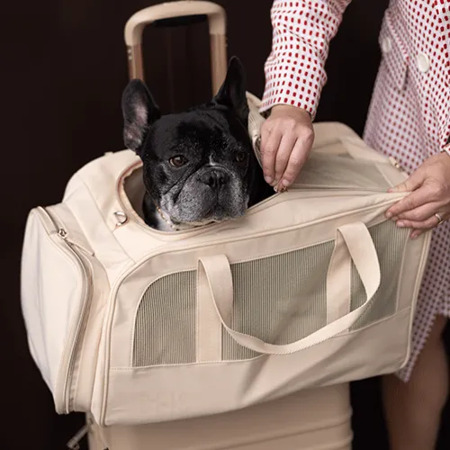 The Regulation Pet Carry-on in Beige
