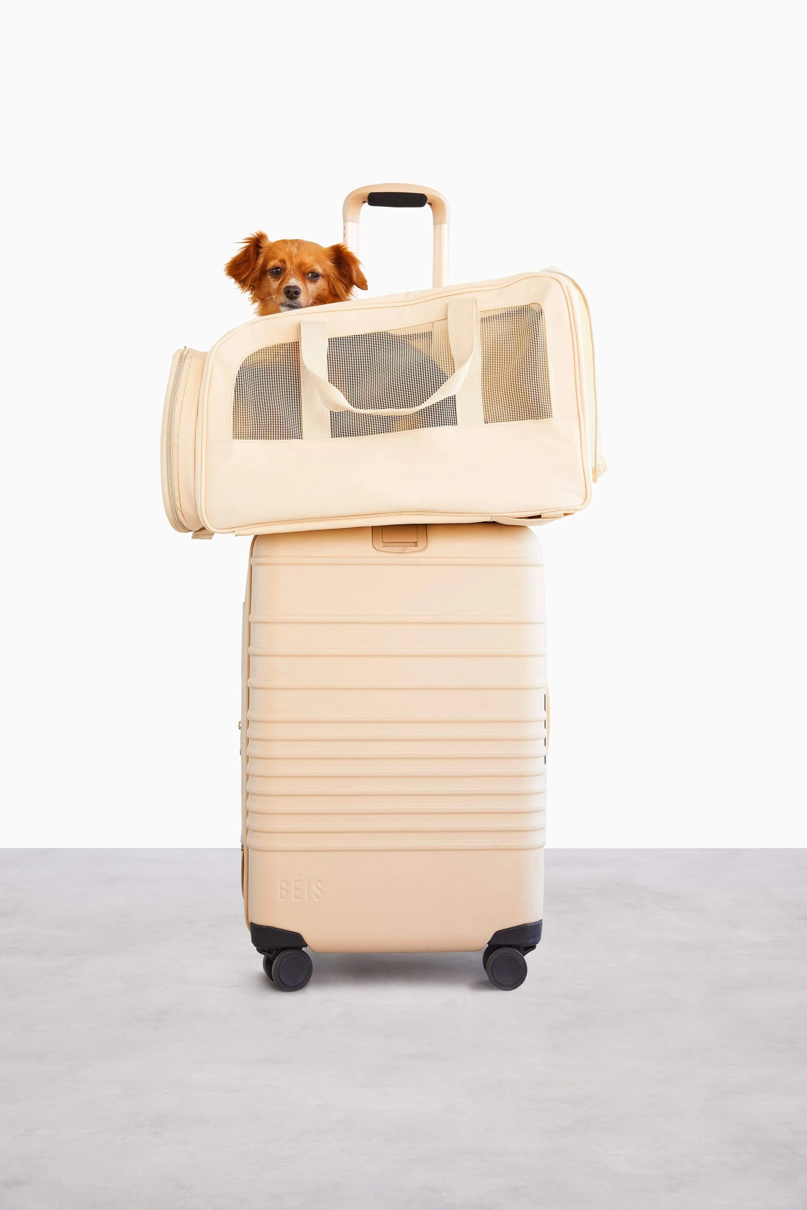 The Regulation Pet Carry-on in Beige