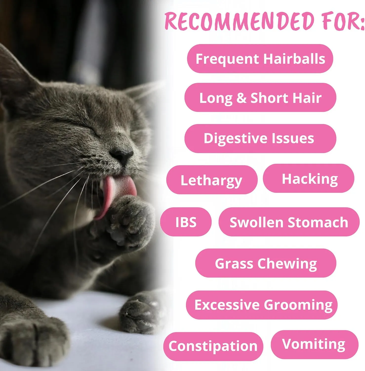 Under the Weather Hairball Soft Chews for Cats, 60 count